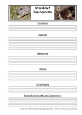 Taschenratte-Steckbriefvorlage.pdf